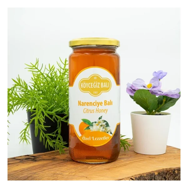 Köyceğiz 660 Gr Narenciye Balı - Görsel 3