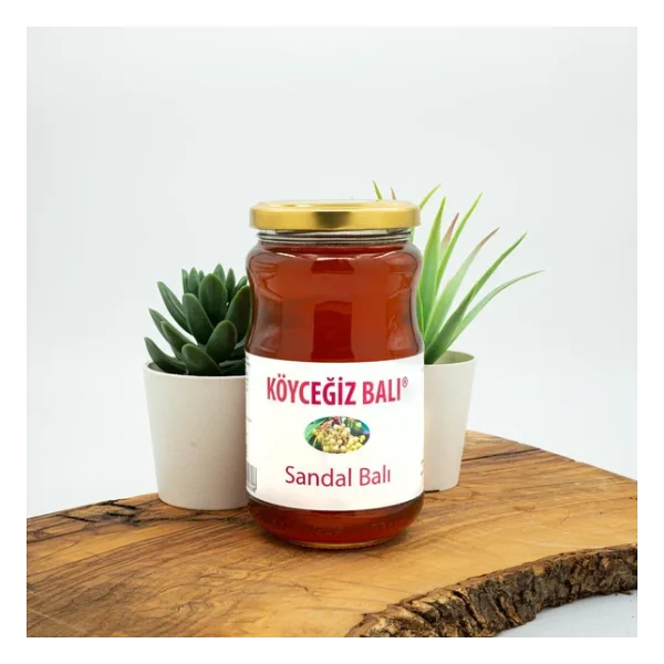 Köyceğiz Sandal Balı 450 Gr - Görsel 3