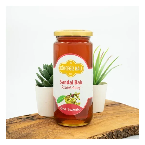 Köyceğiz Sandal Balı 660 Gr - Görsel 3