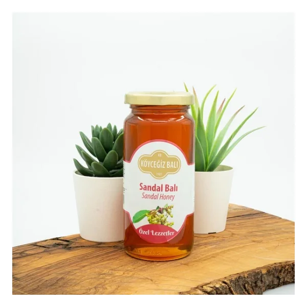 Köyceğiz Sandal Balı 330 Gr - Görsel 3