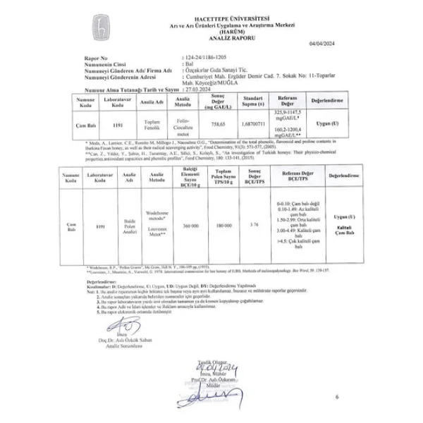 Köyceğiz Çam Balı 45 Gr - Görsel 6