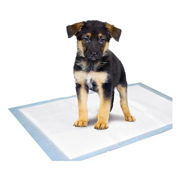 Köpek Tuvalet Çiş Eğitim Pedi Large 60x60 Cm 40 Adet - Görsel 2