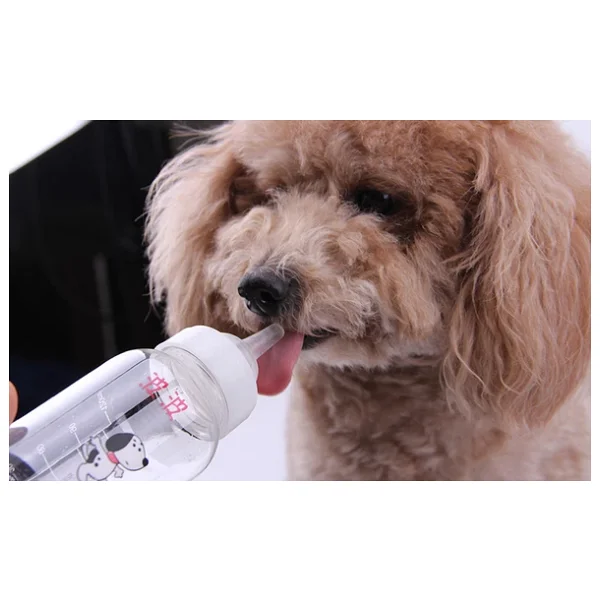 Bobo 120 Ml Yavru Kedi Köpek Biberon Seti - Görsel 3