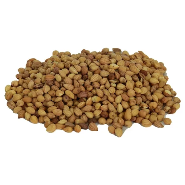 Lokman Doğal Tane Mahlep 100 G - Görsel 5