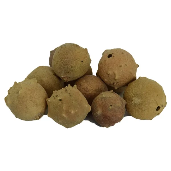 Lokmanavm Doğal Mazı Meyve Kozalağı 100 Gr Paket - Görsel 5