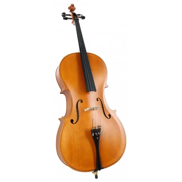 Carlovy Cla9 4/4 Çello - Görsel 9