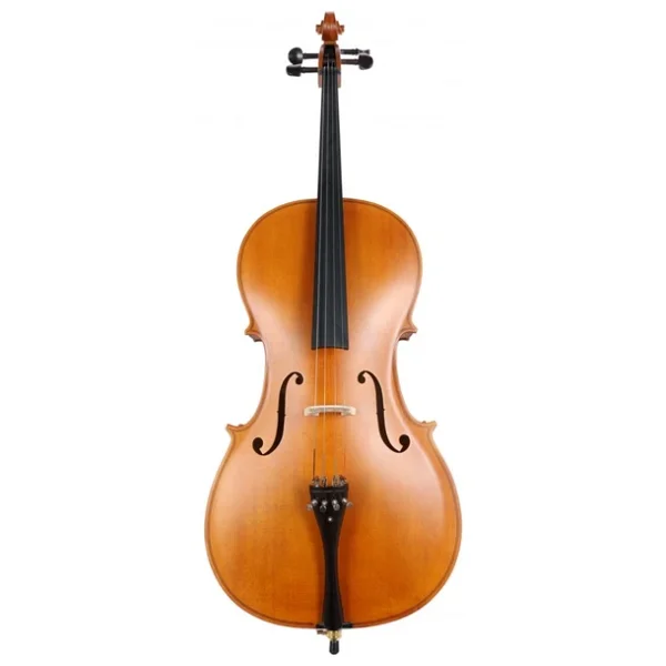 Carlovy Cla9 4/4 Çello - Görsel 8
