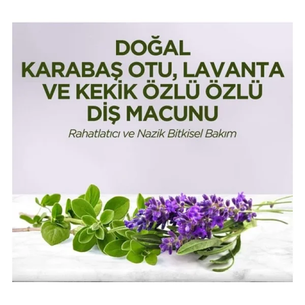 Eyüp Sabri Tuncer Doğal Karabaş Otu Lavanta Ve Kekik Özlü Florürsüz Diş Macunu 90 Ml - Görsel 4