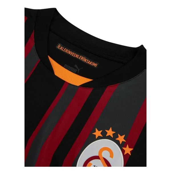 Puma 779654-03 2024/2025 Alternatif Erkek Galatasaray Forması - Görsel 5
