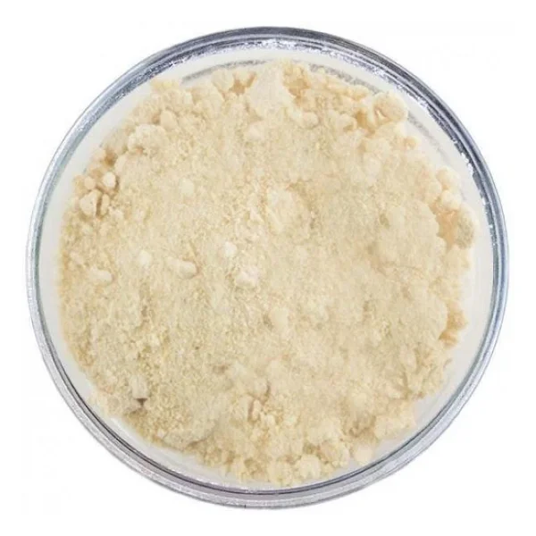 Soğan Tozu 5 Kg - Görsel 5
