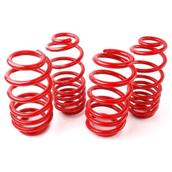 Coil-Ex Fiat Palio 2001 Sonrası Spor Yay 45 / 45 Mm - Görsel 3