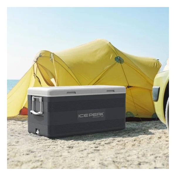 Icepeak Coolcraft Gri 141 Lt Kamp Buzluğu - Görsel 9