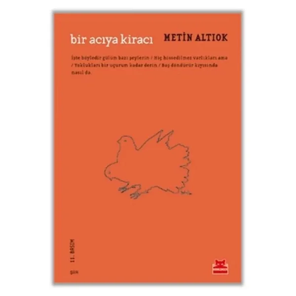 Bir Acıya Kiracı - Metin Altıok - Görsel 4