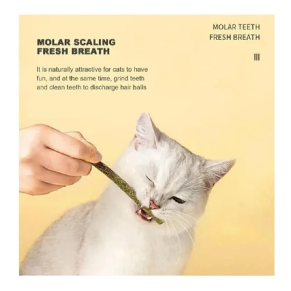 Tineke 6 Adet Doğal Meyve Aromalı Matatabi Çubuğu Catnip Stick Kedi Catnip Dalı Gall-Fruıt-Stick - Görsel 5