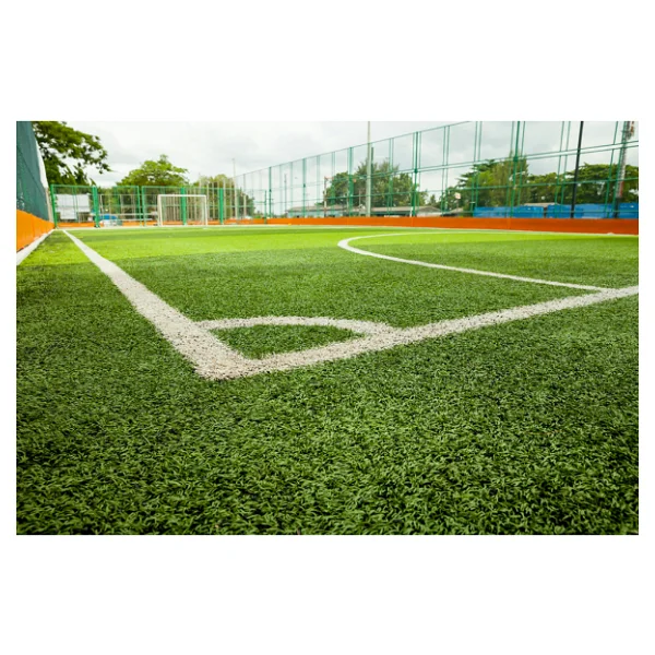 6'lı Karışım İthal Çim Tohumu - Grass Mıxture - 6'lı Mix - 10 Kg - Görsel 7