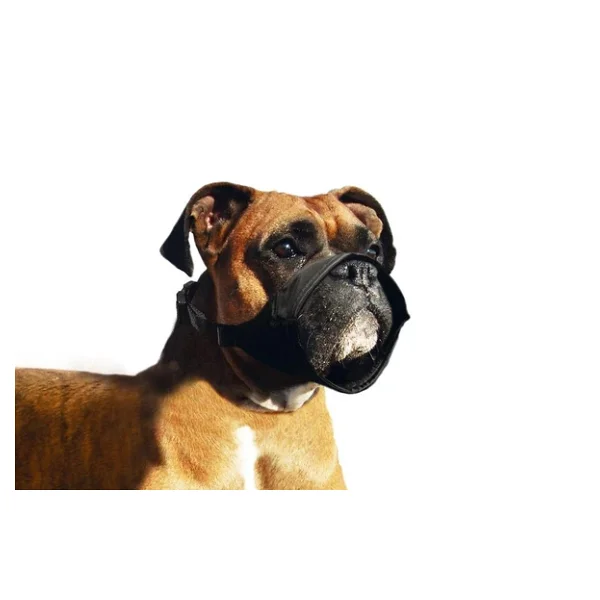 Karlıe Köpek Ağızlığı Özel - Görsel 4