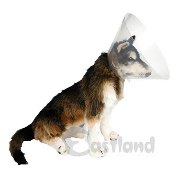 Eastland Yakalık (Elizabet) 25 Cm - Görsel 3