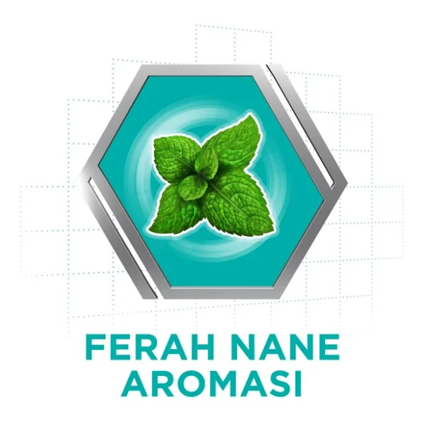 Corega Diş Protezi Yapıştırıcı Krem 40 Gr - Görsel 7