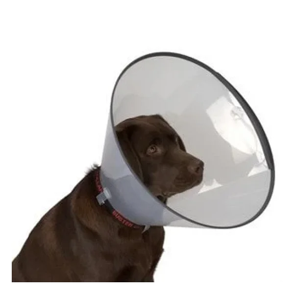 Elizabeth Köpek Yakalığı 20 Cm - Görsel 4
