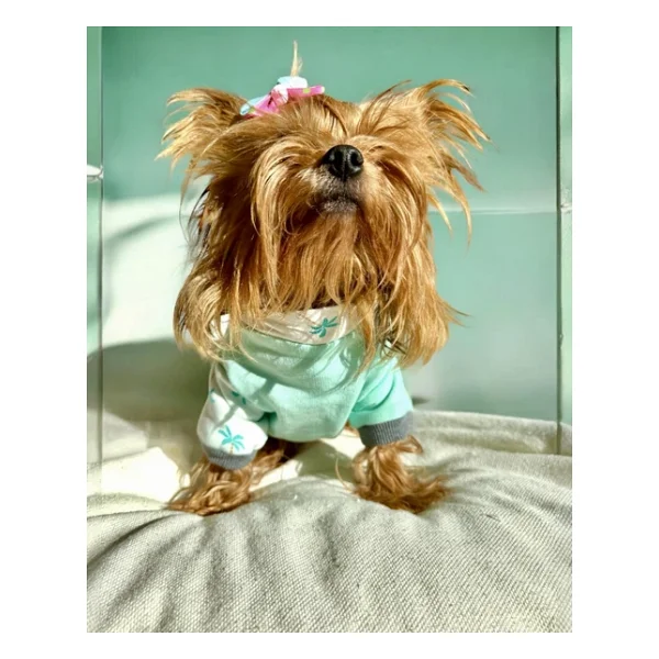 Minty Palm Kalın Penye Köpek Tulum Pijama - Görsel 6