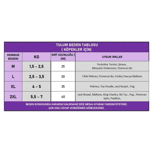 Minty Palm Kalın Penye Köpek Tulum Pijama - Görsel 5