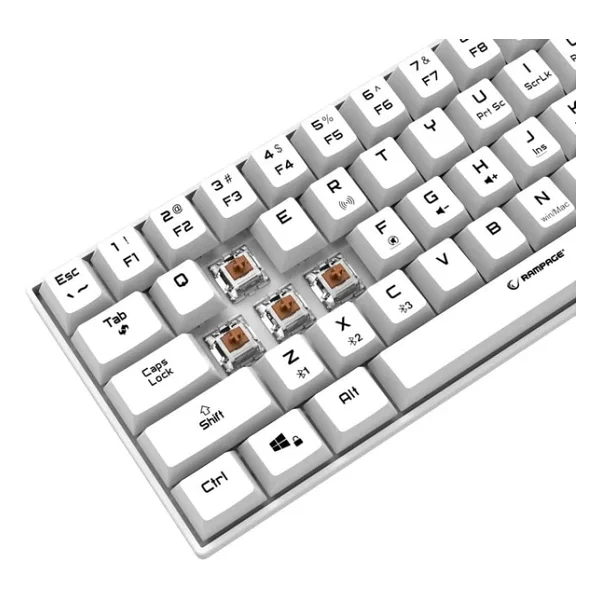 Rampage B-Atom Kb-Rx63 Beyaz RGB Tkl Brown Switch Kablolu/Kablosuz Mekanik Oyuncu Klavyesi - Görsel 5