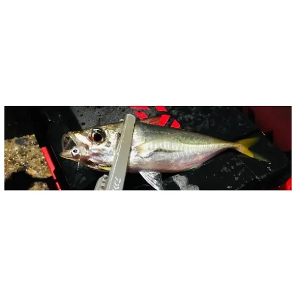 Daiwa Gekkabijin Ajing Jighead - Görsel 3