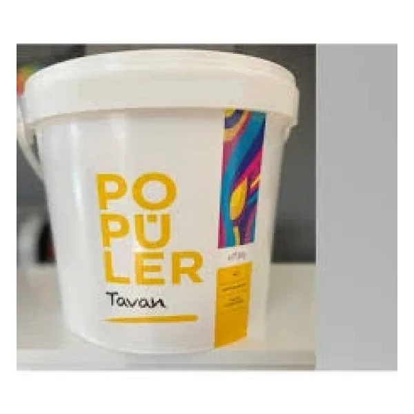 Polisan Popüler 17.5 Kg Tavan Boyası - Görsel 3