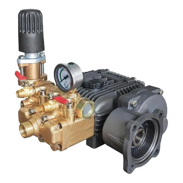 Datsu Fst-22a Basınçlı İlaçlama Pompası - Görsel 4