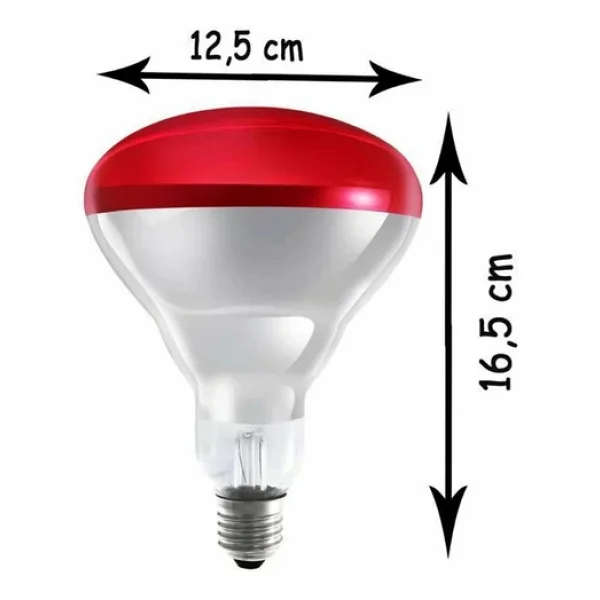 (8 Adet) Ledvance 250w Kızılötesi (İnfrared) Isıtıcılı Hayvan Isıtma Ve Fizik Tedavi Lambası (Kırmızı Işık) E27 (Kalın Duy) - Görsel 3