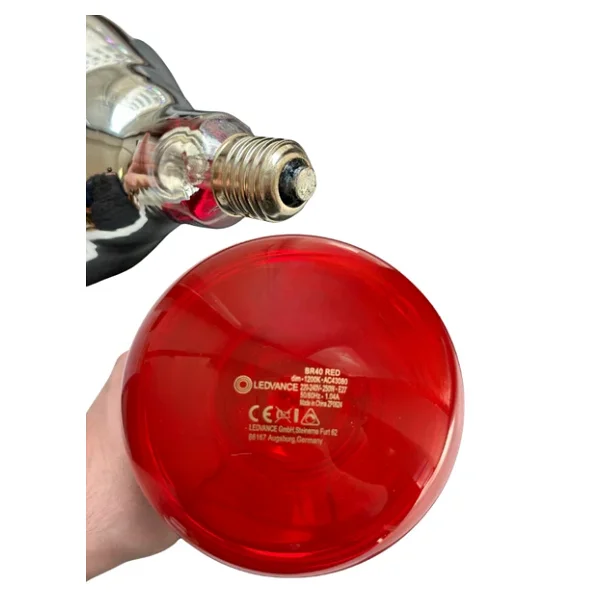 (8 Adet) Ledvance 250w Kızılötesi (İnfrared) Isıtıcılı Hayvan Isıtma Ve Fizik Tedavi Lambası (Kırmızı Işık) E27 (Kalın Duy) - Görsel 5