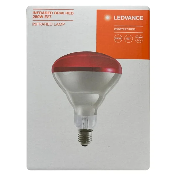 (8 Adet) Ledvance 250w Kızılötesi (İnfrared) Isıtıcılı Hayvan Isıtma Ve Fizik Tedavi Lambası (Kırmızı Işık) E27 (Kalın Duy) - Görsel 2