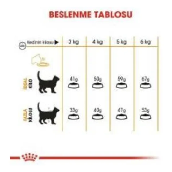 Royal Canin Hair & Skin 4 Kg Yetişkin Kedi Maması - Açık Paket - Görsel 7