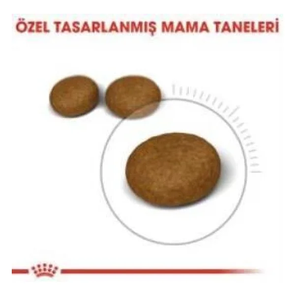 Royal Canin Hair & Skin 4 Kg Yetişkin Kedi Maması - Açık Paket - Görsel 5