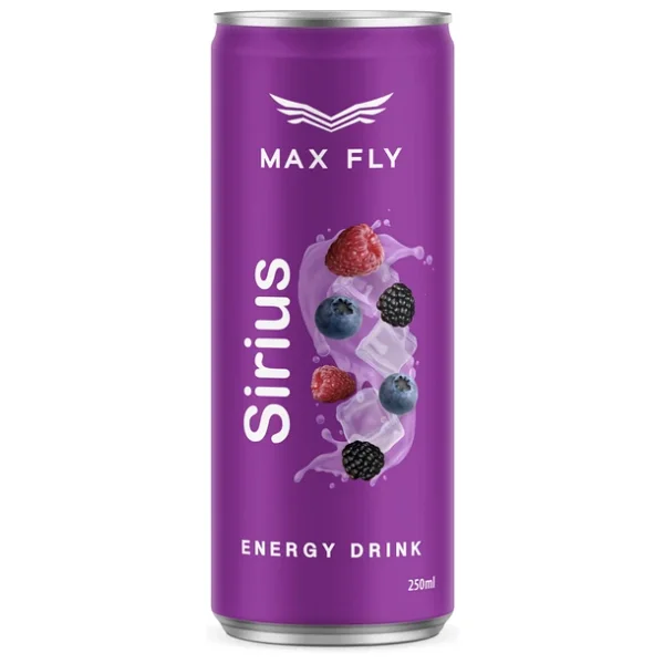 Max Fly Enerji İçeceği Karma Paket 250 Ml 24 Adet - Görsel 4
