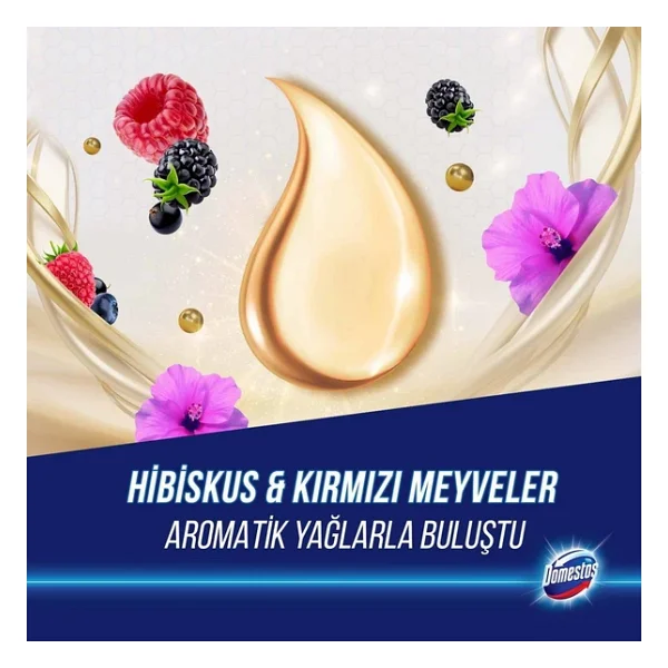Domestos Aroma Lux Hibiskus & Kırmızı Meyveler Tuvalet Bloğu 100 Gr 2'li - Görsel 5