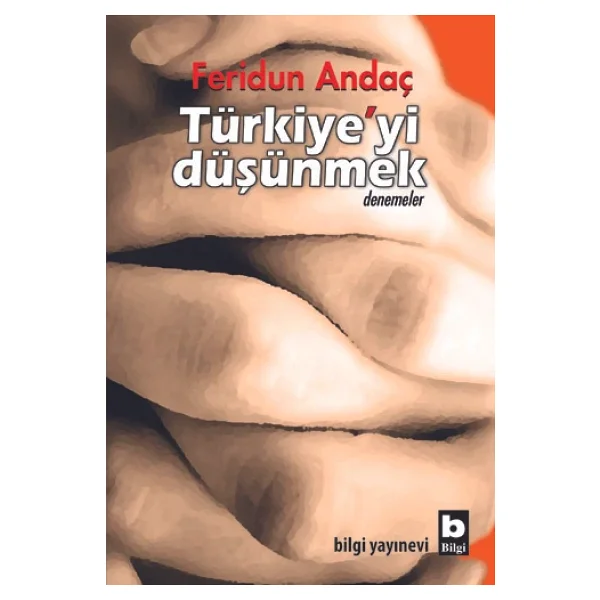 Türkiye'yi Düşünmek - Feridun Andaç - Görsel 4