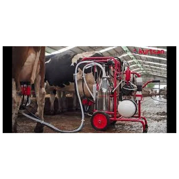 Kurtsan Km04096 Çift Sağım Tek Güğüm Yağlı Pompa Paslanmaz Çelik 40 Lt Süt Sağma Makinesi - Görsel 2