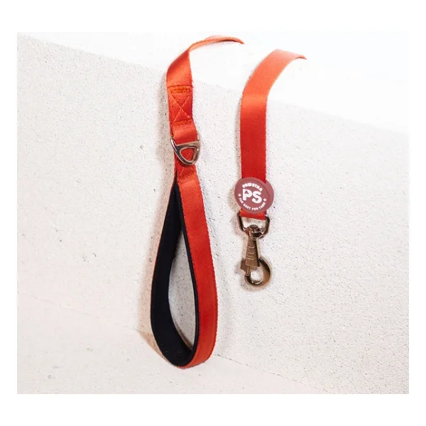 Pawstar Kiremit Köpek Gezdirme Kayışı 120 cm x 2 cm - Görsel 2