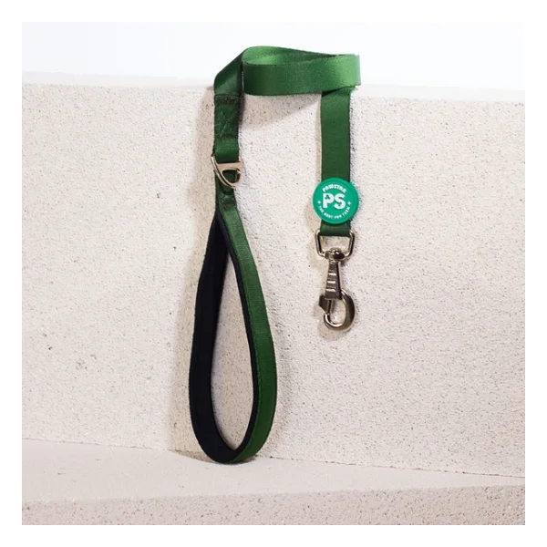 Pawstar Çam Yeşili Köpek Gezdirme Kayışı 120 cm x 2 cm - Görsel 3
