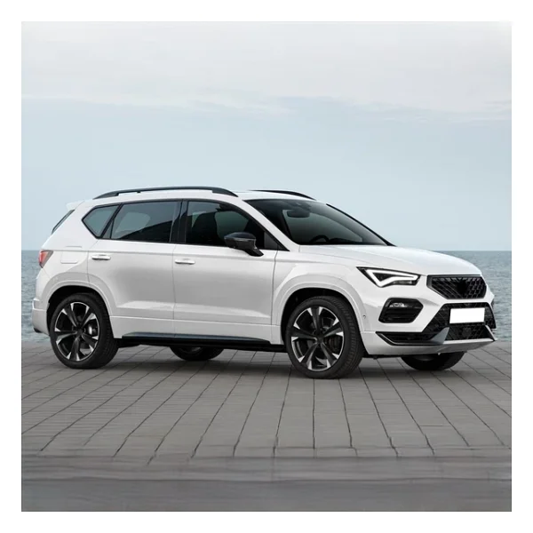 Cupra Ateca 2023-2026 1.5tsi Motor Filtre Bakım Seti Mann - Görsel 4