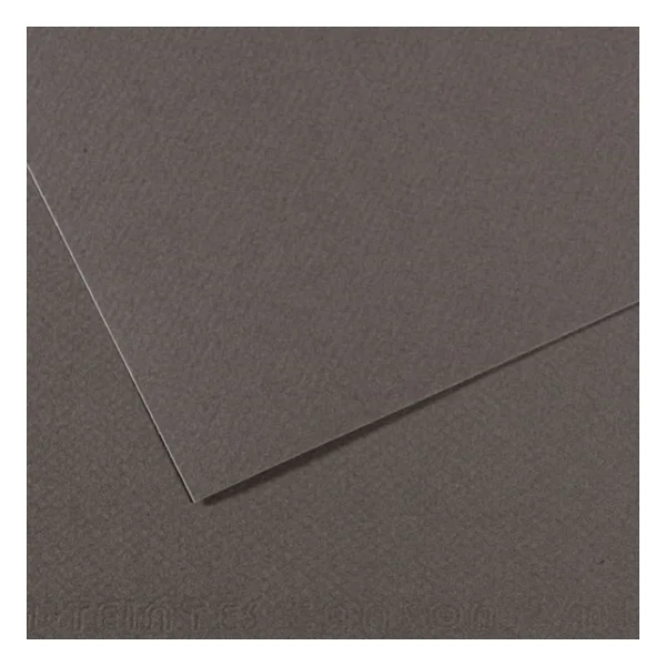 Canson Fon Kartonu Dokulu Mı-Teıntes Sh Canmt 50x65 160 Gr Grey 345 - Görsel 3