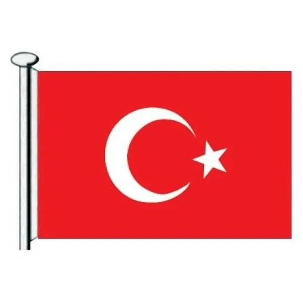 Saray Türk Bayrağı 20x30 - Görsel 4
