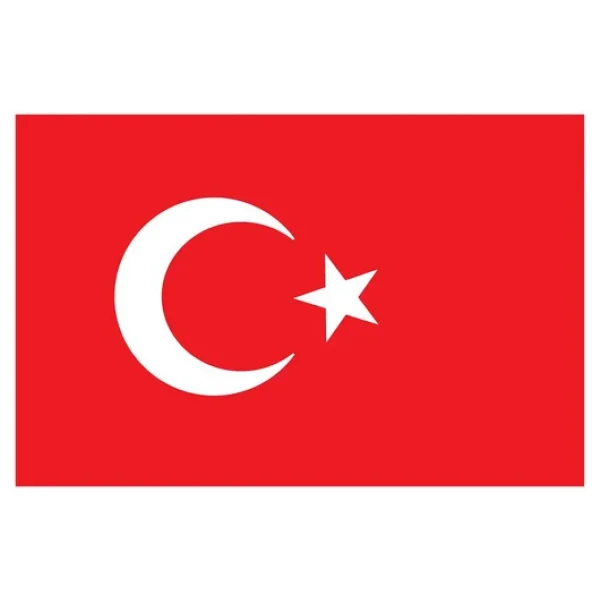 Saray Türk Bayrağı 20x30 - Görsel 3