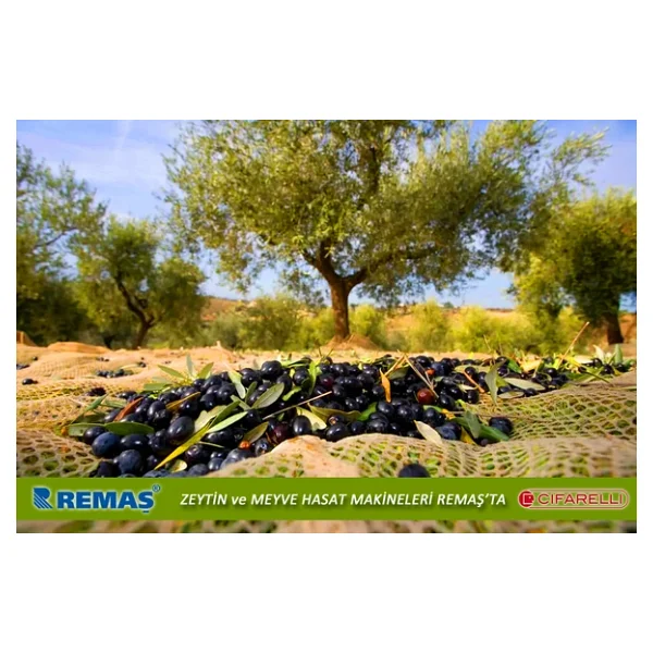 Cifarelli Sc 800 Zeytin Ağaç Silkeleme Makinesi - Görsel 6