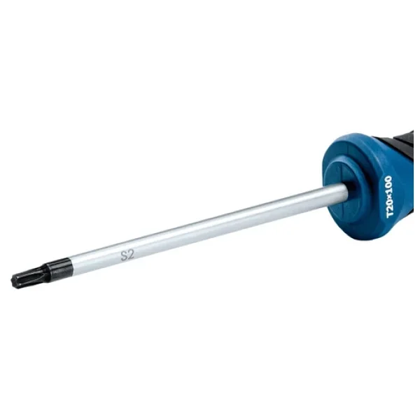 Bosch Pro 1600a01v0c Tx20x100 Mm Torx Tornavida - Görsel 7