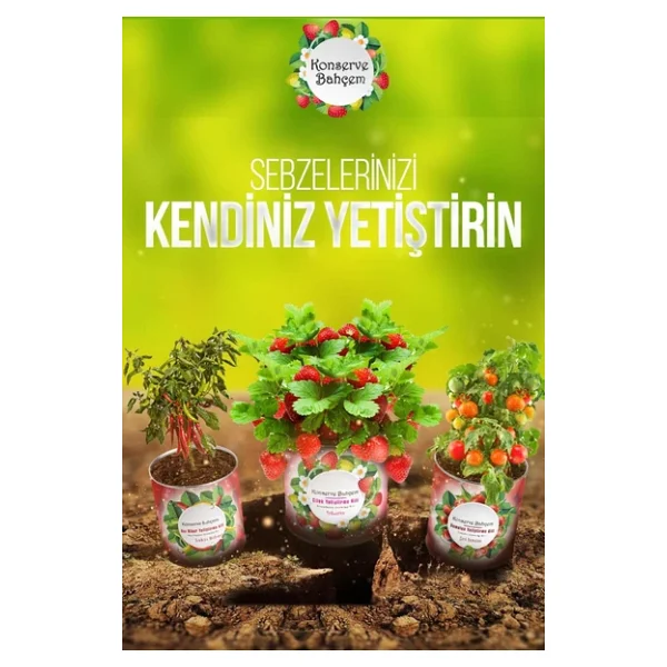 Buffer Konserve Bahçem Evde Konservede Sultani Bamya Yetiştirme Kiti - Görsel 7