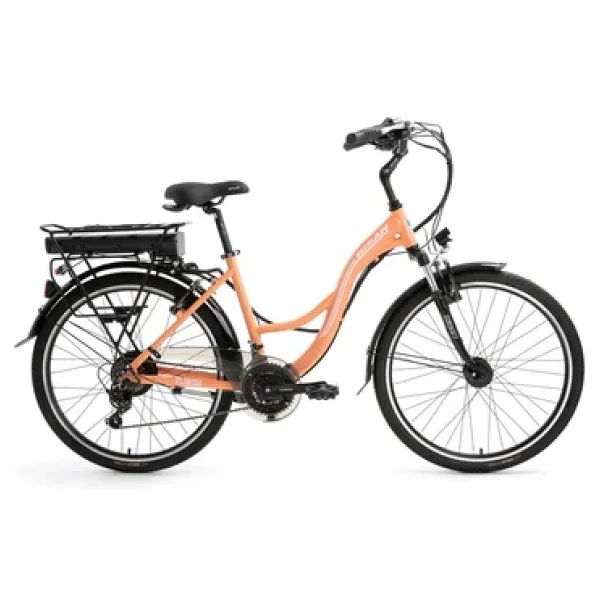 Bisan Florida 250 W 26 Jant Elektrikli Bisiklet - Görsel 2