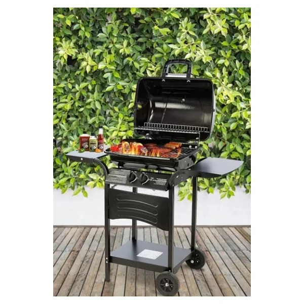 Kiwi Kg-5881 Gazlı Barbekü - Görsel 5