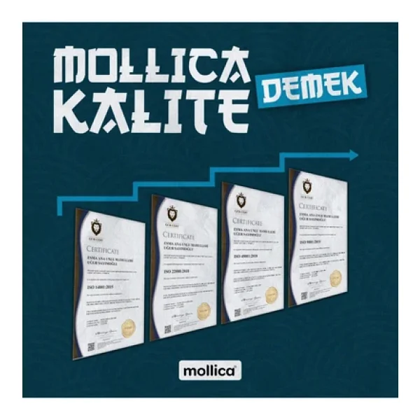 Mollica Panko Ekmek Kırıntısı 1 Kg - Görsel 6